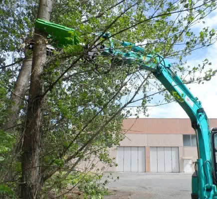 CS sorozatú erdészeti metsző